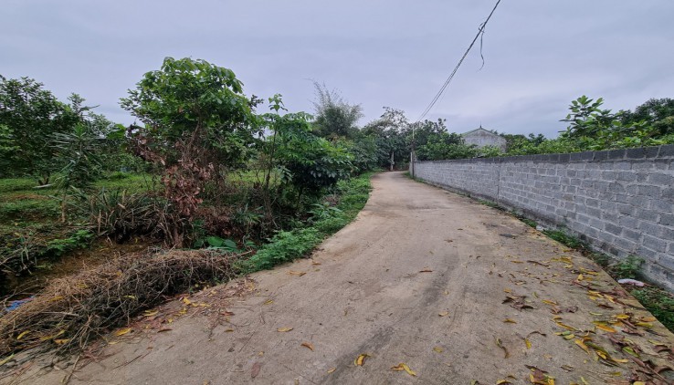Bán 2000m đất thổ cư nhà vườn tại Nhuận Trạch, Lương Sơn, Hòa Bình View đồng giá đầu tư